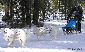 2007 Chemult Sled Dog race