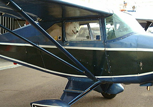 Lightning about to go for a flight