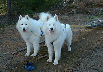 Nimbus (right) finishing up his WSX title