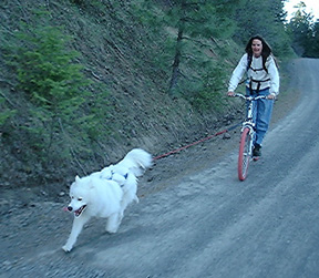 Lightning and Linda scootering together