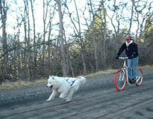 Early scooter training