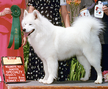 Nimbus winning the Working class at a Specialty.