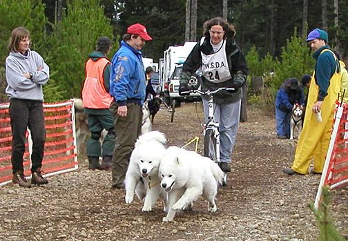 Nimbus and Lightning at the start of the 2002 Club Mud race